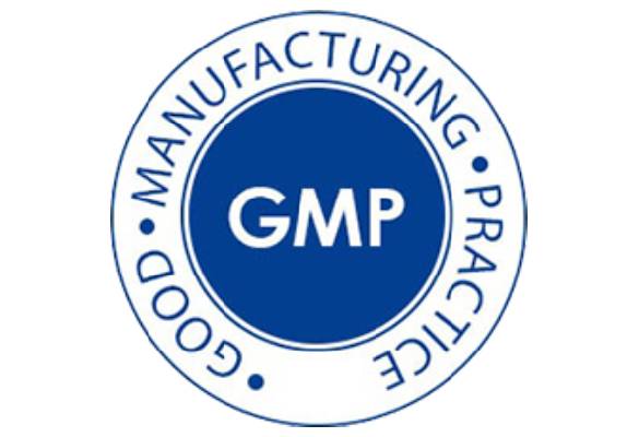 GMP