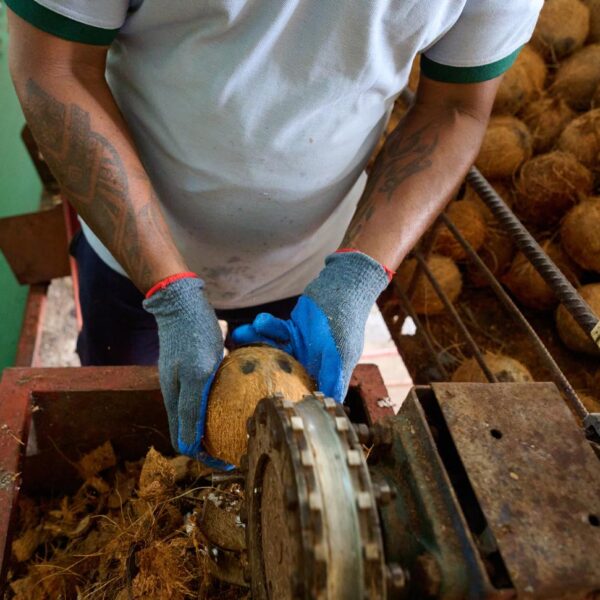 WhatsApp Image 2026-01-23 at 7.20.21 PM